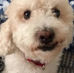 Meet your Posher, Janet mead